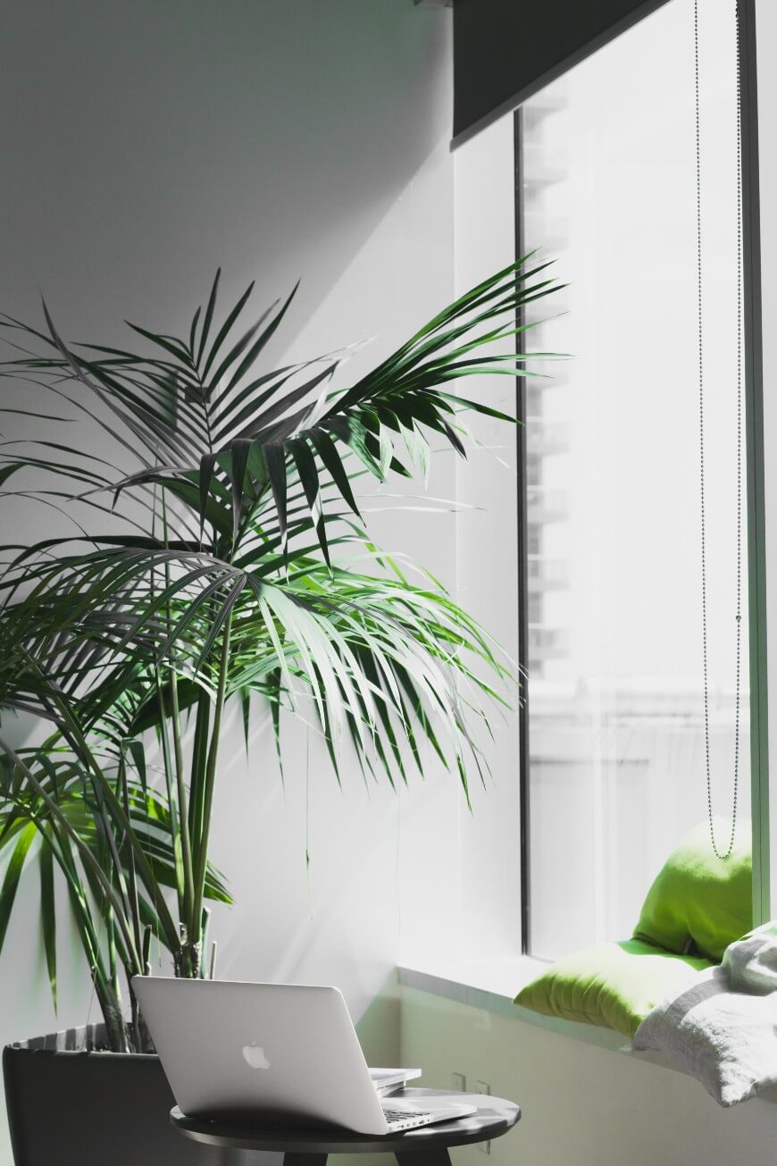 office with plants