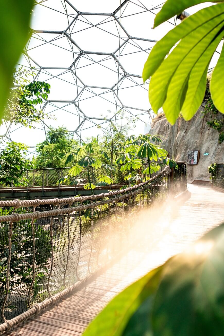 educational view inside the eden project