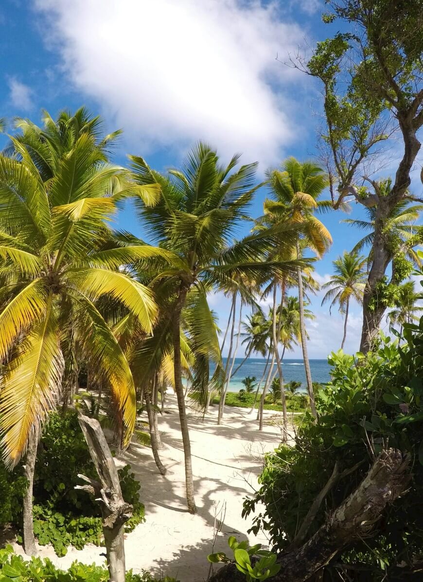 beach scene from caribbean