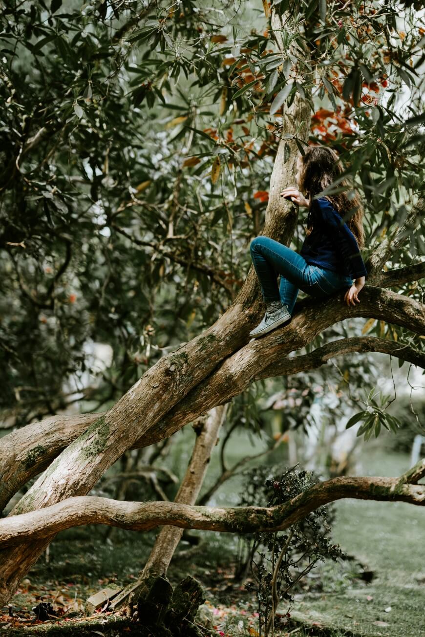 tree