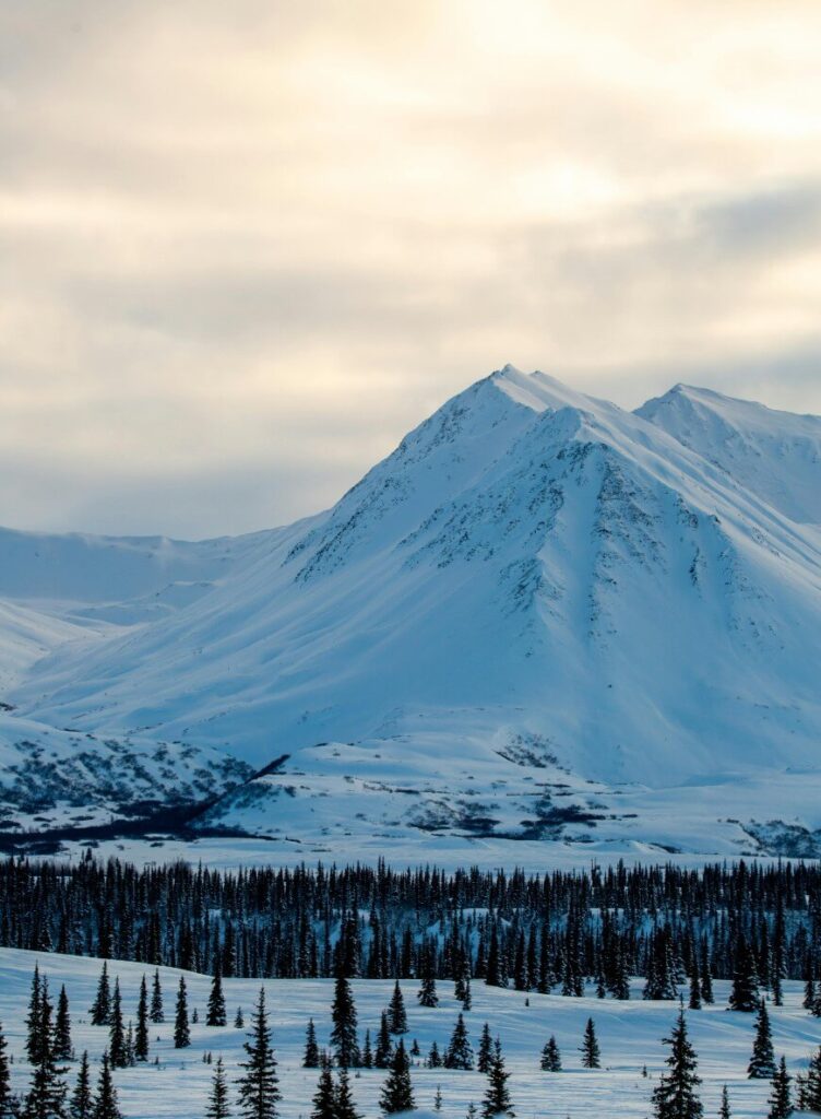 denali mountain