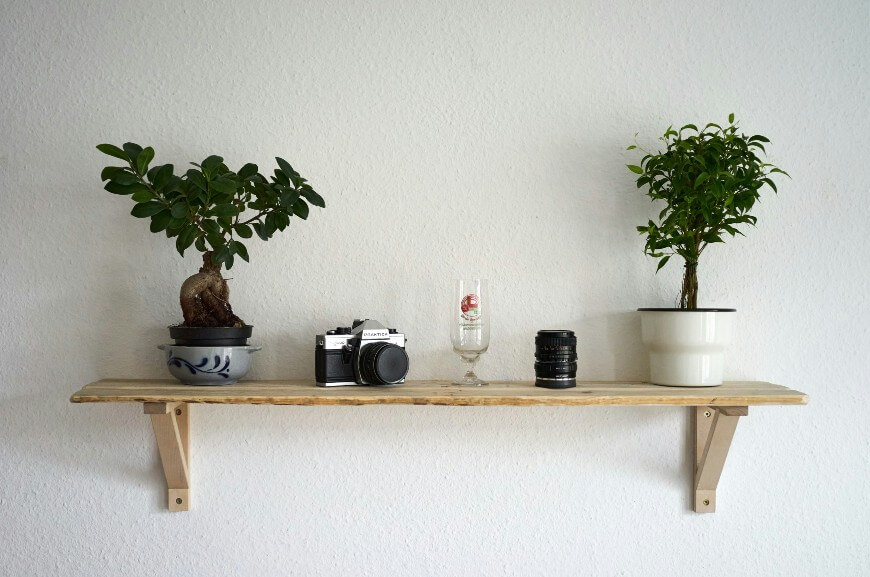 A wooden shelf mounted on a white wall holds two potted bonsai trees, a vintage camera, a clear glass, and camera lenses arranged neatly in a row.