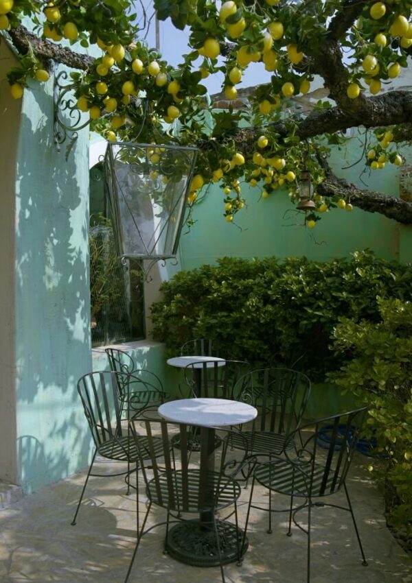 A small outdoor patio with four metal chairs and a round table sits in the shade of a lemon tree. The area is surrounded by green bushes and aqua-colored walls. Lemons hang abundantly from the tree above.