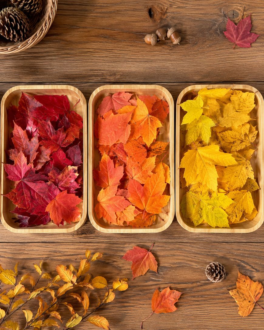 Three wooden trays filled with red, orange, and yellow autumn leaves are arranged on a wooden table, with acorns, pinecones, and scattered leaves nearby.