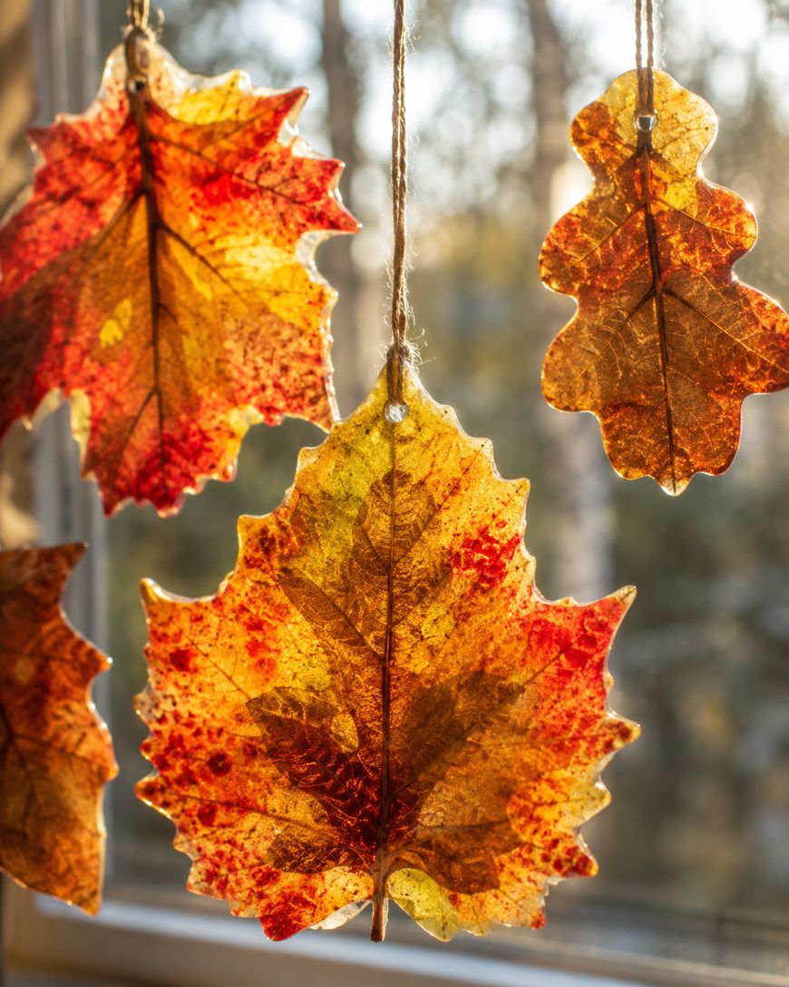 Four colorful autumn leaves, in shades of yellow, orange, and red, hang by strings in front of a sunlit window, creating a warm, seasonal atmosphere.