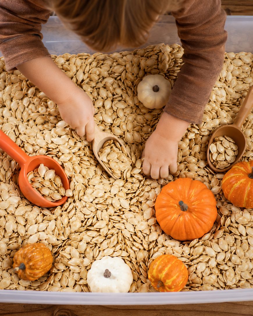 A childs hands scooping pumpkin seeds from a bin filled with seeds, toy scoops, and decorative mini pumpkins of orange and white.